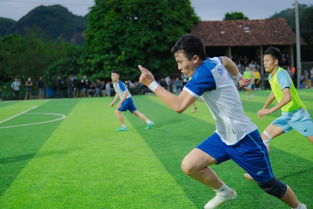 顽强拼搏的 顽强拼搏的