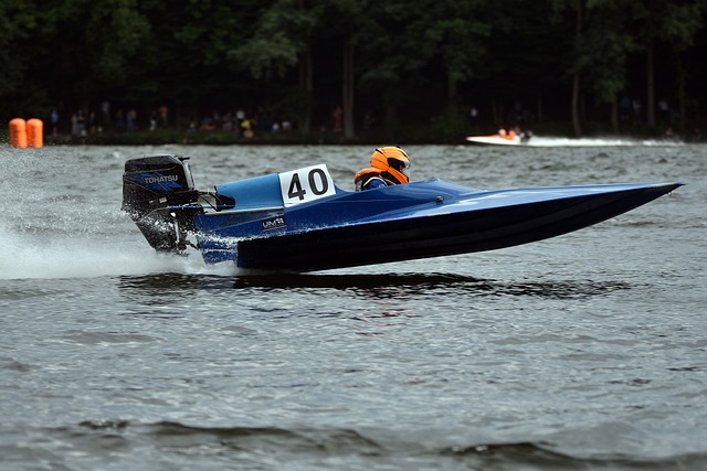 塔图姆的进 塔图姆的进