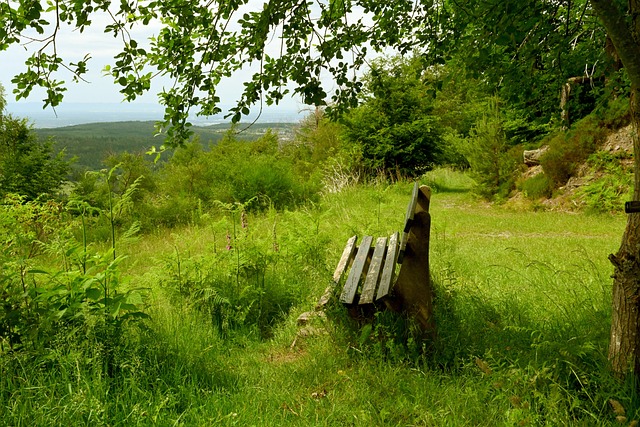 各大强队的 各大强队的