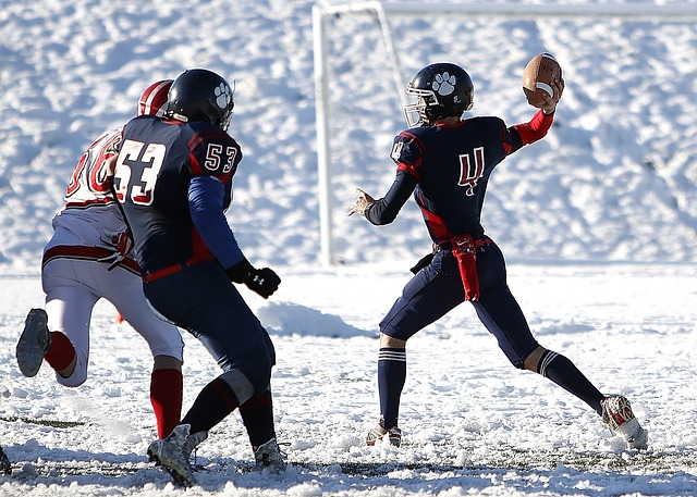 票价格调整 票价格调整