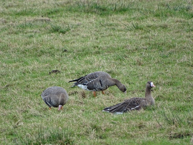 姆斯的恩怨 姆斯的恩怨