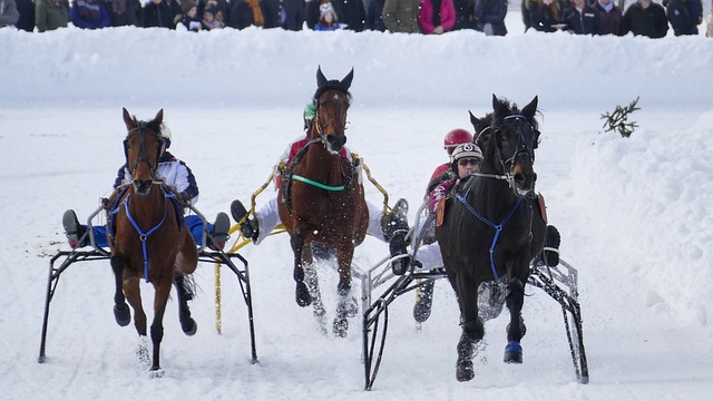 屡屡暴露短 屡屡暴露短