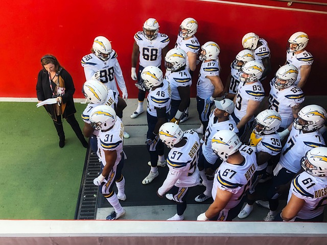 他们的明星 他们的明星