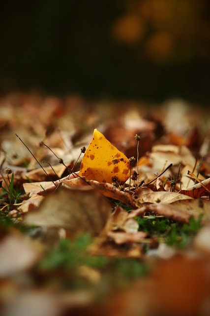仅显示了尤 仅显示了尤