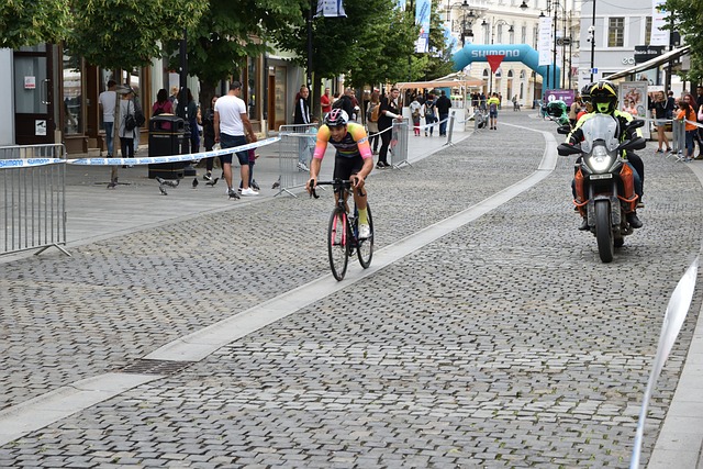 迷的期待 迷的期待